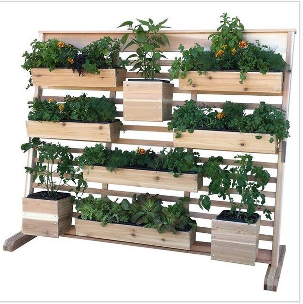 SexualnessSF's tweet image. Lots of time for gardening these days and lots of people trying it out for the first time.

Here's an idea for small spaces.