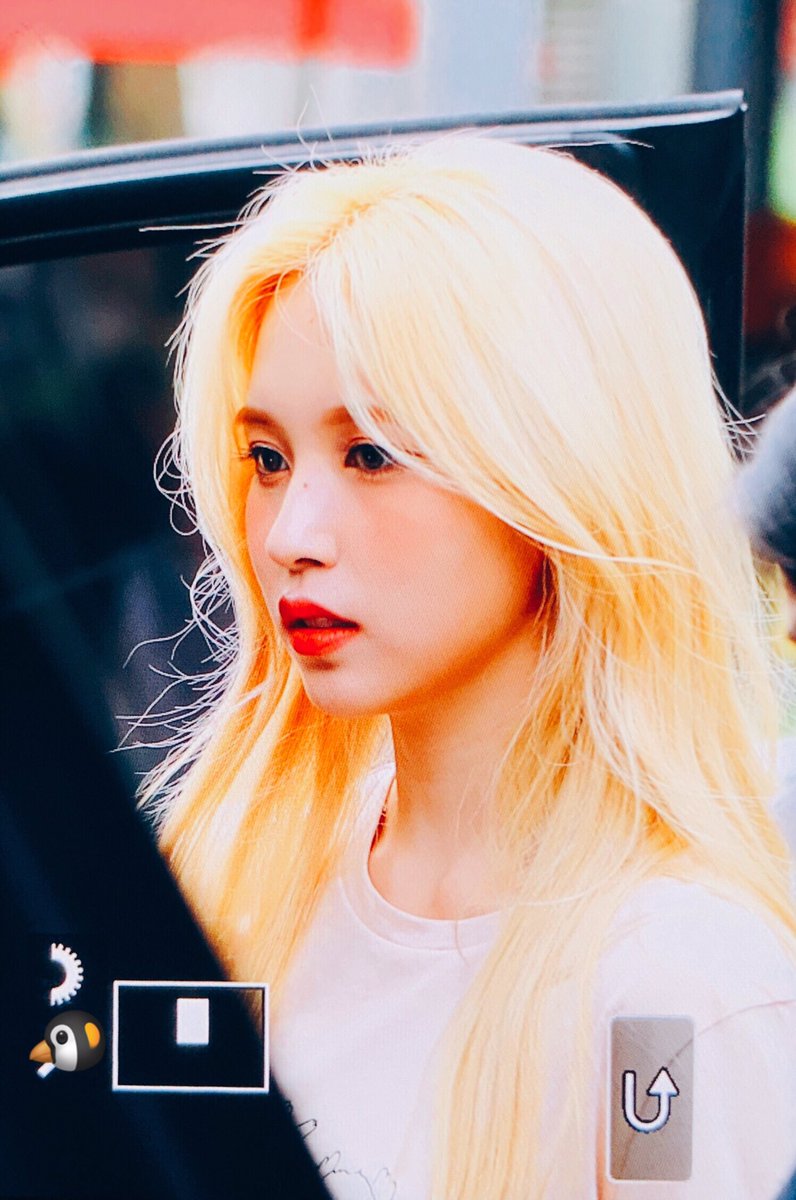 미라클 나잇 tweet media