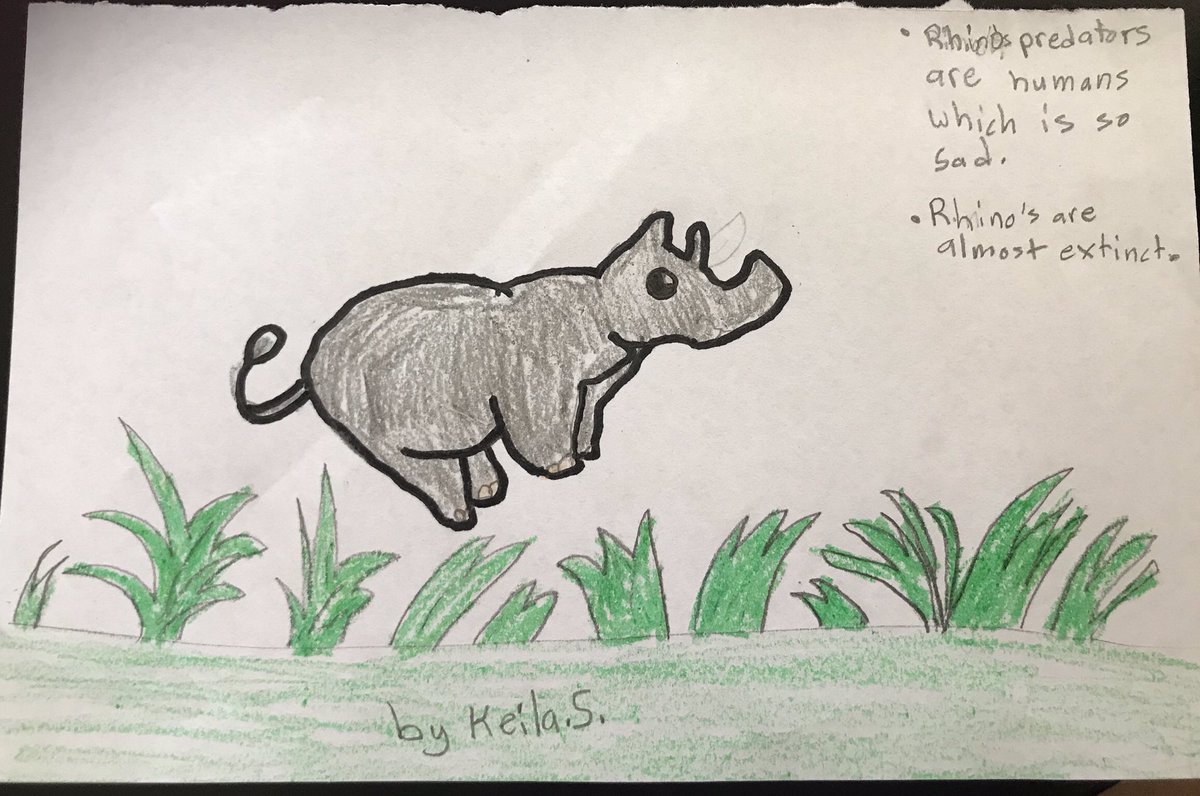 Thank you @EBTSOYP @NatGeoEducation @NatGeoExplorers @Amivee @OlPejeta !
My daughter Keila who is a 2nd grader from MD, USA really enjoyed the last Nothern White Rhinos program and this is how she expressed her feelings.
#ExplorerClassroom