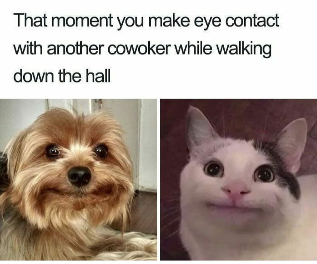 Raise your hand if you're looking forward to having those awkward hallway moments again?🙋 Now it's just that awkward couple of seconds as everyone struggles to hit the leave button at the end of online meetings. 
#funny #humor #workculture #workfunny #zoommeeting #virtual #wfh