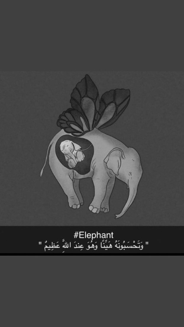 #انثي_الفيل_الحامل