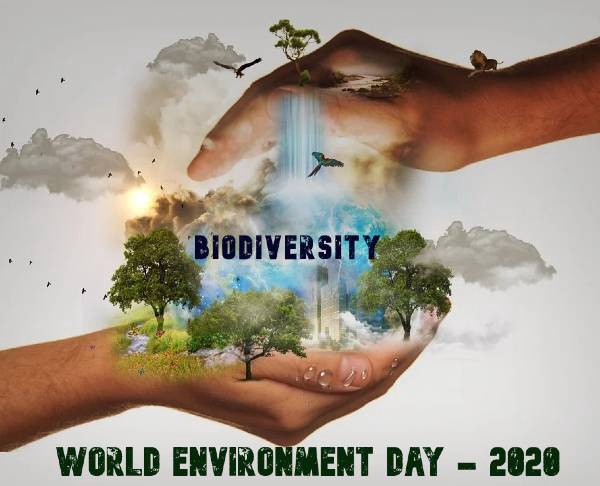 alfredjohny07's tweet photo. Let's protect and save our environment. #WorldEnvironmentDay #biodiversity #theme2020 https://t.co/vIgcLkKeV3