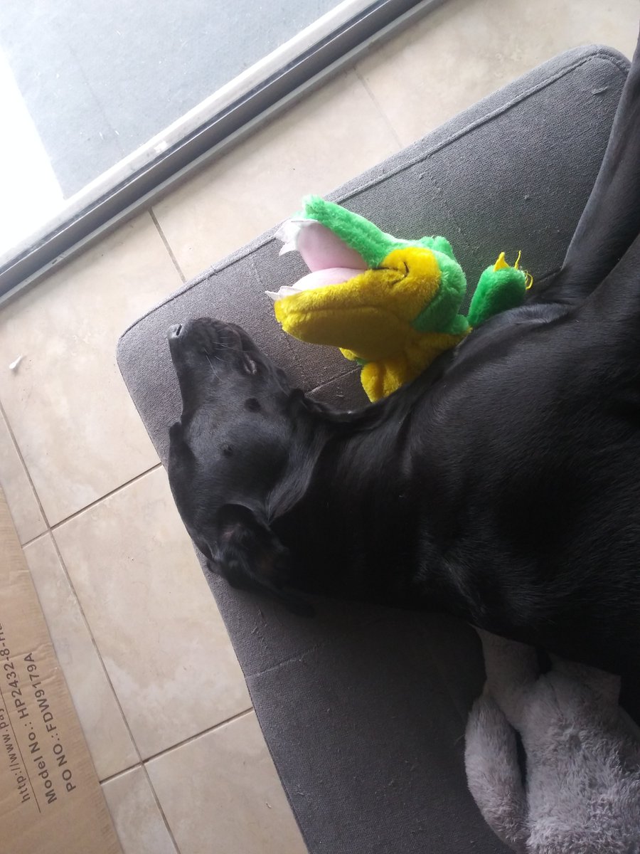 WARNING GRAPHIC CONTENT Beast takes down crocodile and uses its skin for a bed