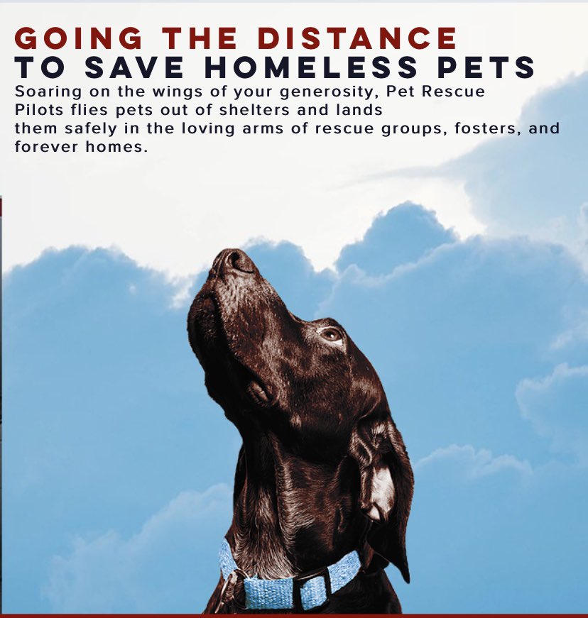 Saveapooch's tweet image. In today's episode, founder of Pet Rescue Pilots, Julian Javor will share his insights on what the new normal will look like for the rescue dog and pet rescue industry and what are the challenges and solutions.

petliferadio.com/saveapoochep43…