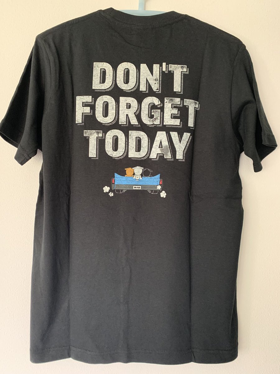 今日のTシャツはこれ！ the pillows 30周年DON'T FORGET TODAY Tシャツ