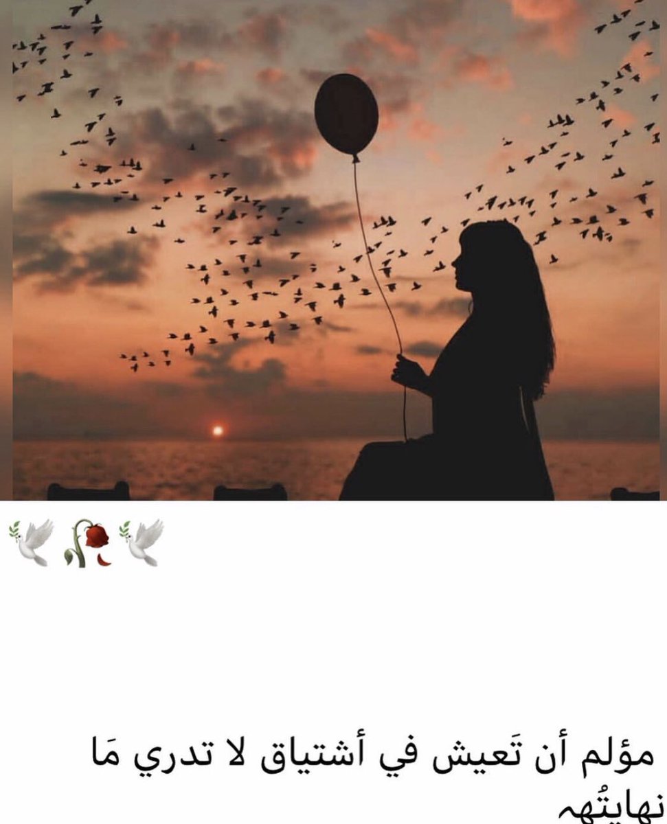 NoorAlhammad1's tweet photo. https://t.co/lLLIG38PZ9