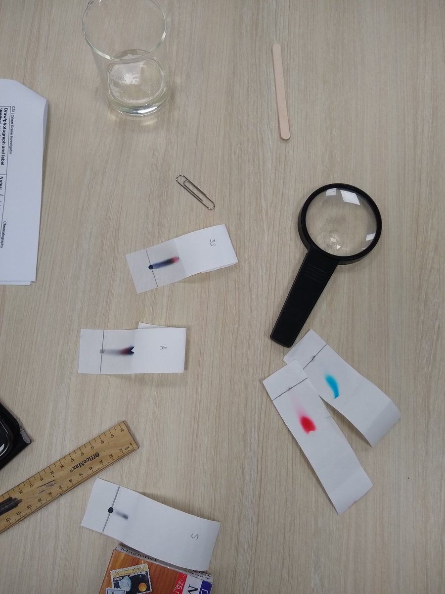 DarcyEdAU's tweet photo. Investigating crime scenes through paper chromatography today! #WSSProud https://t.co/imhk3emCMz