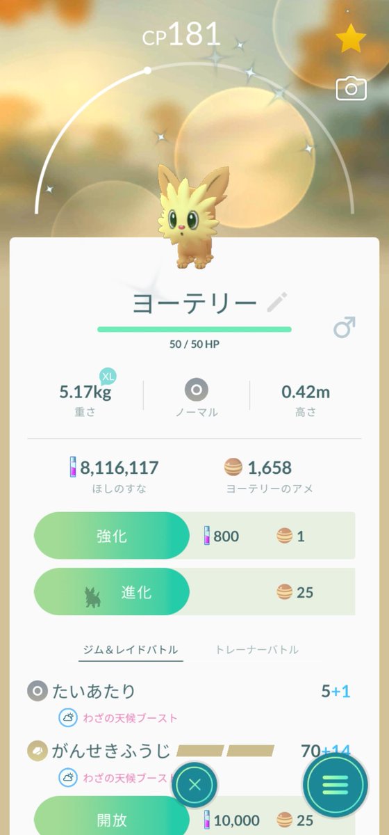 色違いヨーテリー 色違いヨーテリー