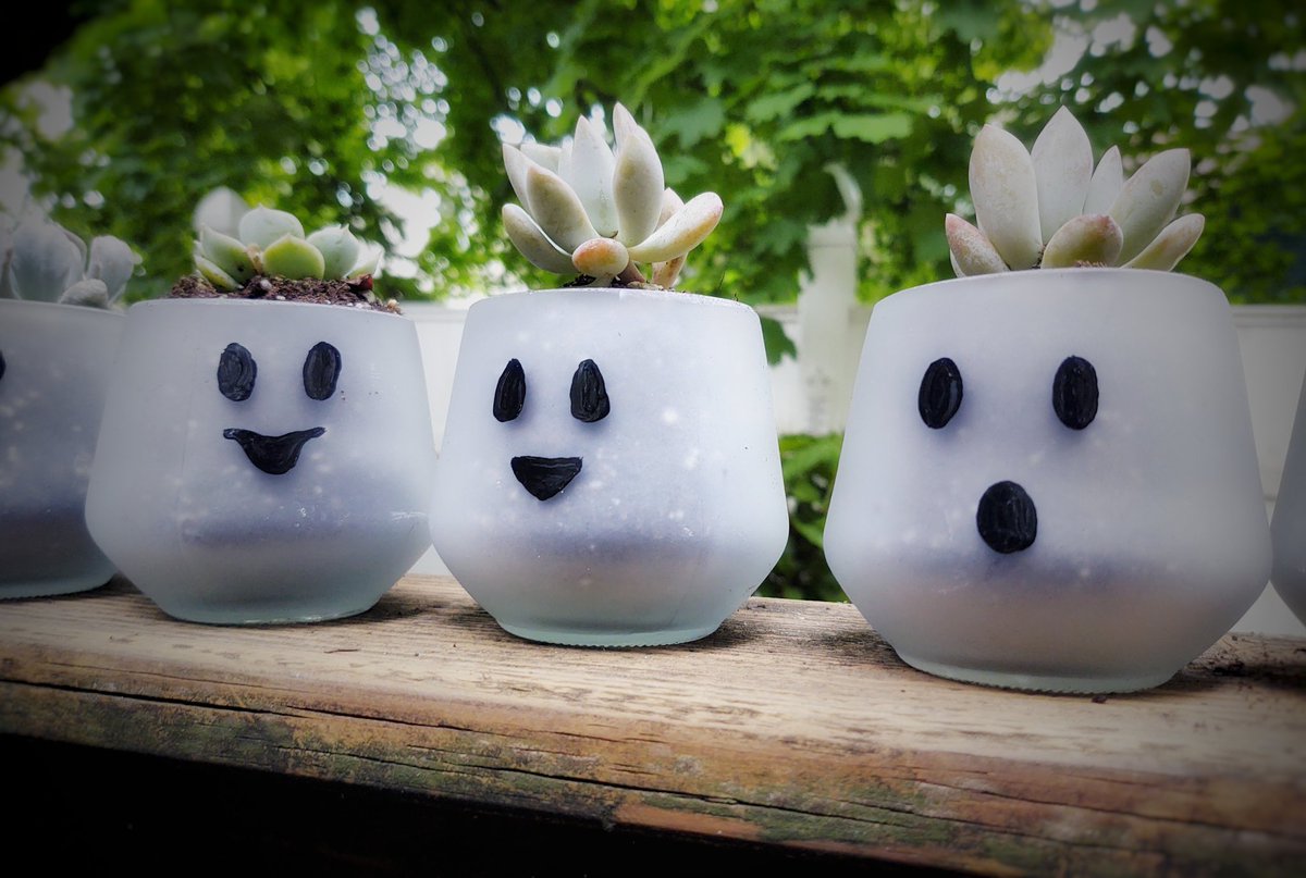 Gardens For Ghosts tweet media