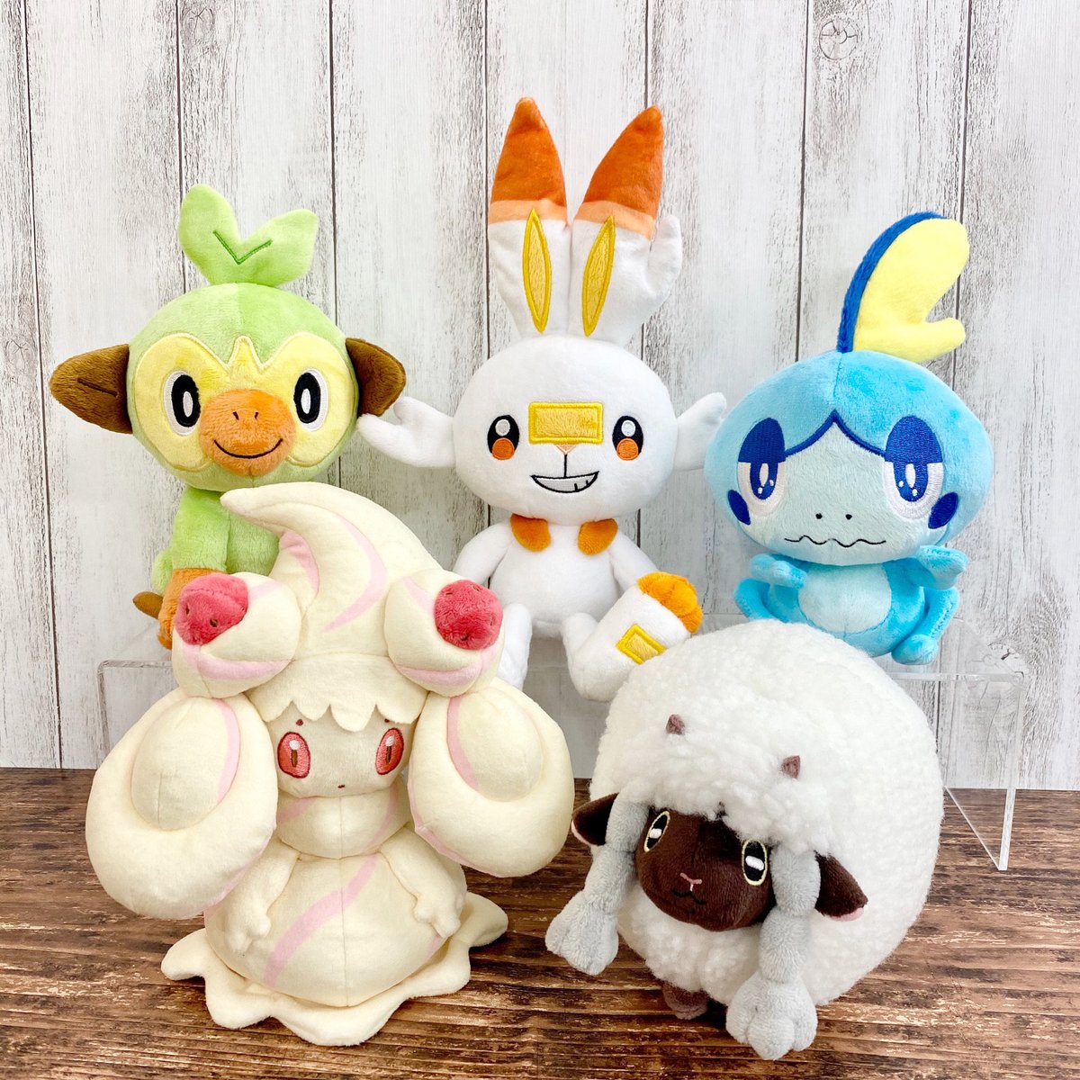 ぬいぐるみの三英 ゲームキャラクター On Twitter ポケモン新商品発売情報 いよいよ明日6 6 土 に 大好評の ポケットモンスターallstar Collection 13弾5種が発売 全国の玩具 雑貨専門店 有名家電量販店 ポケモンセンター等でお取扱いがございます ぜひ