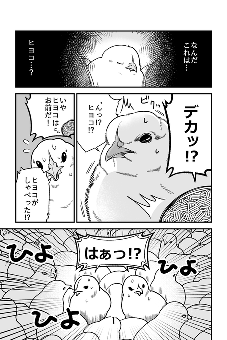 再掲「ヒヨコ共がゆめのあと」(1/3)
続きはリプに 