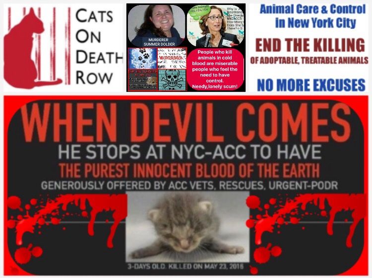 GiveLuckyBack's tweet photo. A vital position to sign.  #CAPA must become law in #NewYork this year!!  

RT RT and keep RTing to end the bloodletting at the @NYCACC &amp; other #NY Kill-Pounds #LibbyPost profits from. https://t.co/djKnqh4ALq