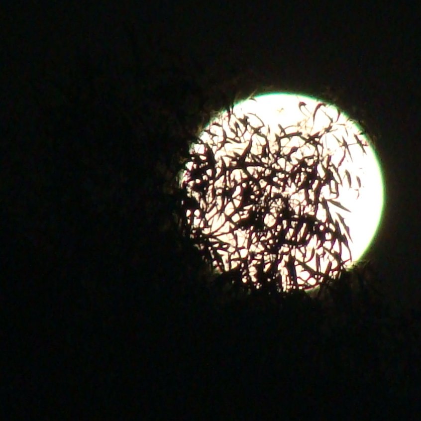 🏡 La Colonia Clavería. tweet media