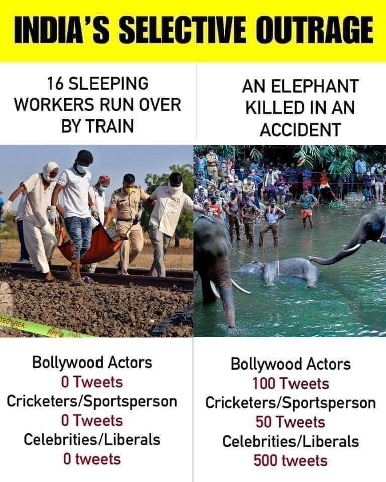 Same on you 
<a href="/bollywood_life/">Bollywood Life</a> <a href="/iamsrk/">Shah Rukh Khan</a> <a href="/BeingSalmanKhan/">Salman Khan</a> <a href="/SrBachchan/">Amitabh Bachchan</a> <a href="/akshaykumar/">Akshay Kumar</a> <a href="/aamir_khan/">khan saab 🥰</a> <a href="/imVkohli/">Virat Kohli</a> <a href="/iHrithik/">Hrithik Roshan</a> <a href="/AnupamPKher/">Anupam Kher</a> <a href="/KapilSharmaK9/">Kapil Sharma</a>  @BoycutGodimedia #boycottgodimedia