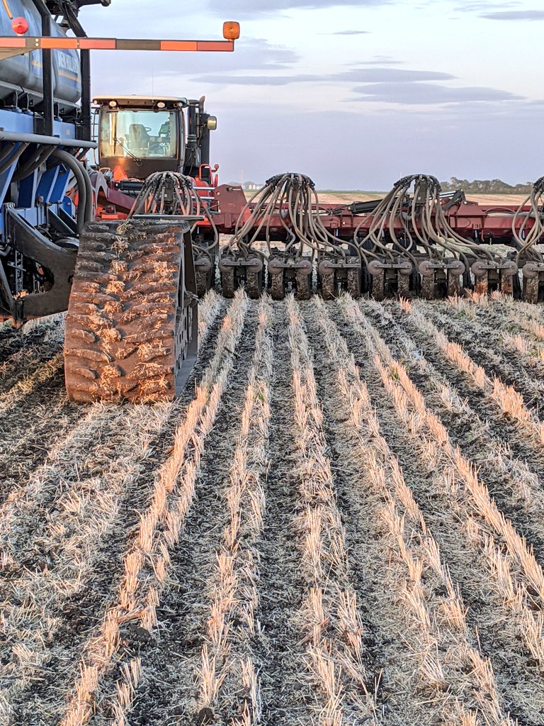 Pretty much a Saskatchewan farmer now eh? Seeding canola betweenst the rows...
#plant20 #TheLast320