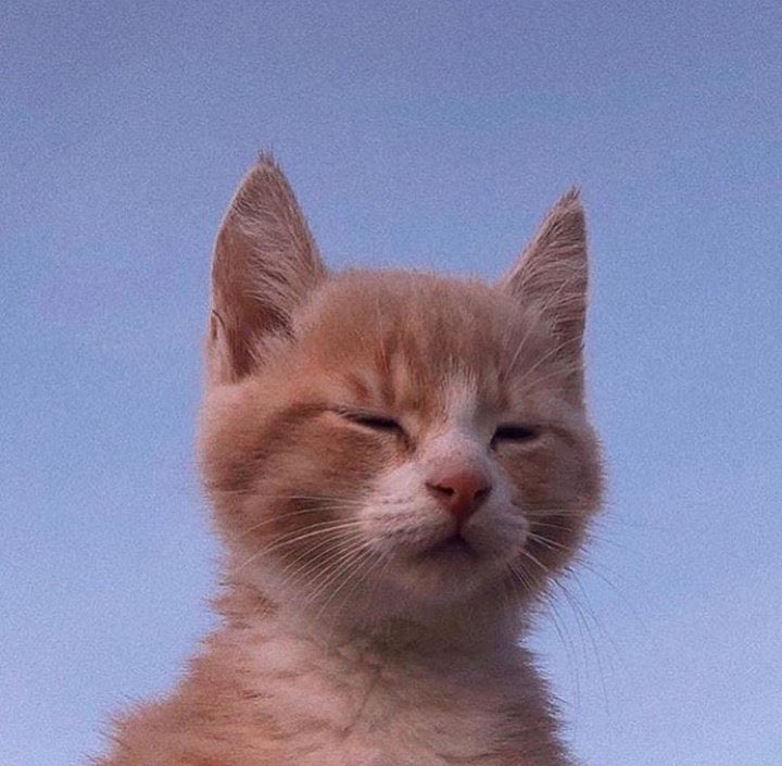 Shaapiszulll_'s tweet image. Aku panggil kawan aku yang rabun dari jauh 

kawan aku :