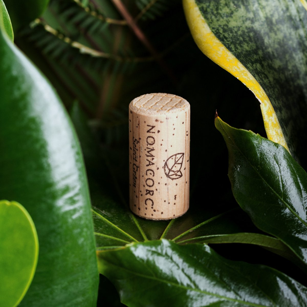 At Vinventions, we care about our environment every day🌍Our planet is our home, we treat it with love and respect. These values are driving us to offer innovative and sustainable closures solutions for wineries who care like us about the future of our planet #WorldEnvironmentDay