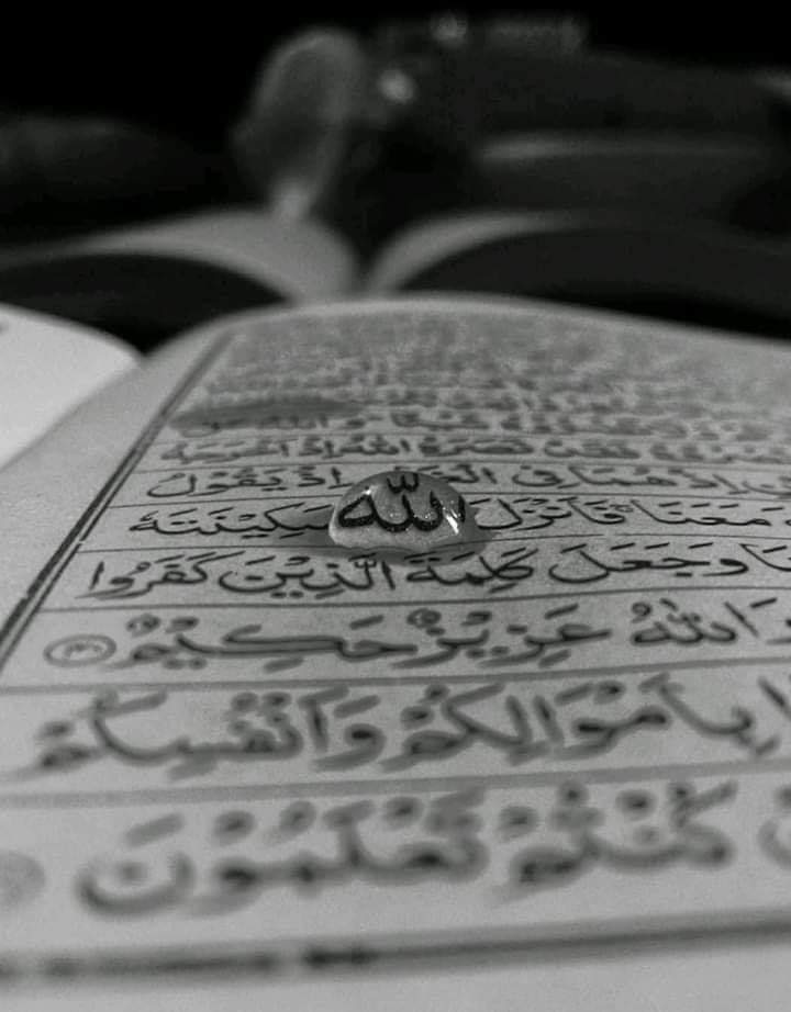 lll_Asif_lll's tweet photo. When you are alone; read the Qur'an! 🖤 
#Quran https://t.co/HWZOsAAIcw