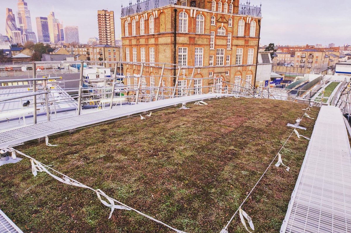 With #wgrd2020 almost upon us, Projext 5 of our six of the best is this sedum roof <a href="/Crossrail/">Ewan</a> at Whitechapel for our client @blackdownroofs @WGRD2020 <a href="/greenroofsuk/">dusty gedge</a> <a href="/worldgreenroof/">Livingroofs.org</a> <a href="/EFBgreen/">EFB Green Roofs</a> <a href="/iflaEurope/">iflaEurope</a> <a href="/greenroofs/">Greenroofs.com</a> <a href="/GRHCna/">Green Roofs for Healthy Cities</a>