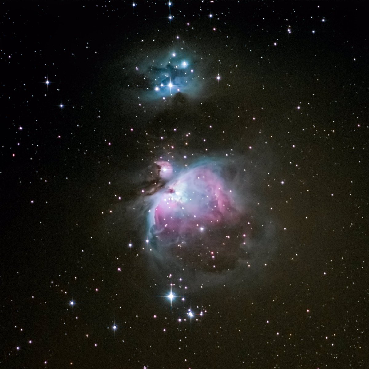 Stephen Cheatley Photo 📸 tweet media