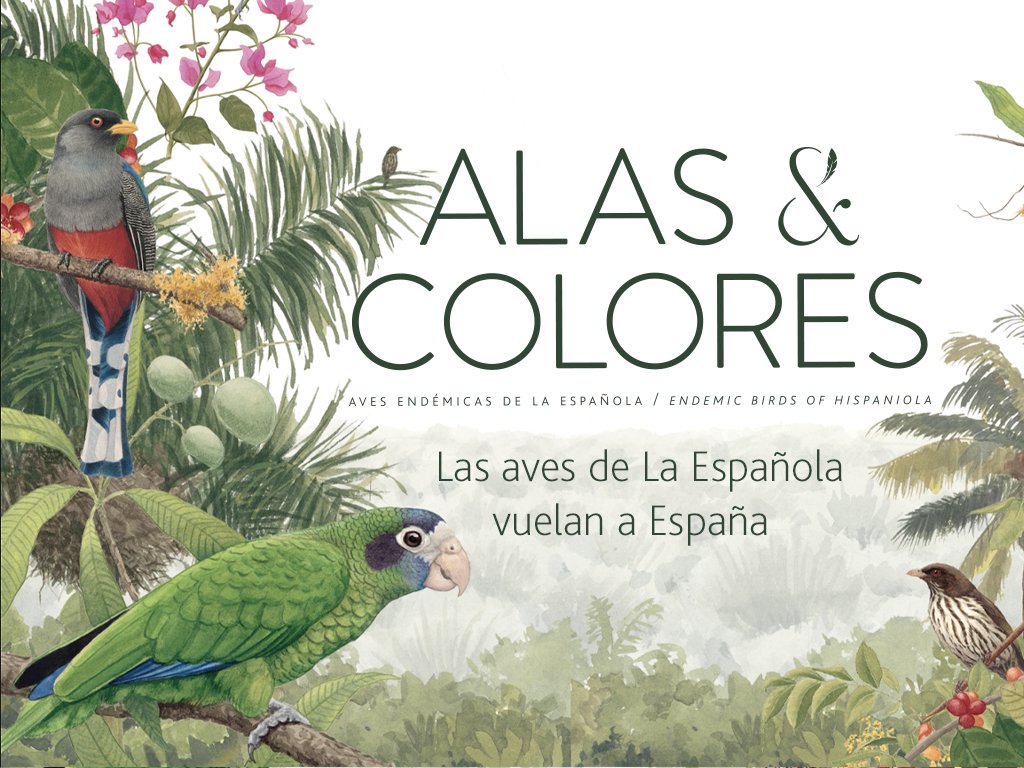 Hoy se celebra el #DiaMundialDelMedioAmbiente y te invitamos desde el <a href="/RJBOTANICO/">REAL JARDÍN BOTÁNICO</a> <a href="/CSIC/">CSIC</a>  a visitar la exposición virtual #AlasyColores en la que "las aves de La Española vuelan a España" que en organizamos en colaboración con @EmbRDMadrid e <a href="/INICIAOficial/">INICIA</a>  alasycolores.com.do/es