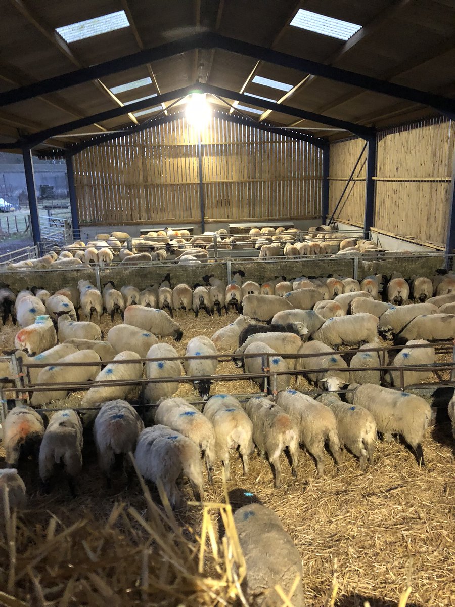 Defenderdriver7's tweet image. Day 7/7 My life in pictures. Rules: no words, no people. Nominate someone new each day. I was nominated by @Alanday10858010 
I nominate @wickens_anna