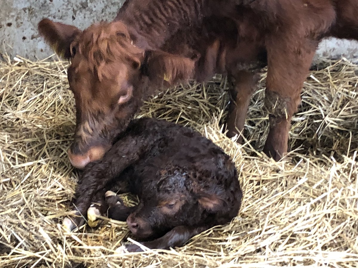 Defenderdriver7's tweet image. Day 7/7 My life in pictures. Rules: no words, no people. Nominate someone new each day. I was nominated by @Alanday10858010 
I nominate @wickens_anna