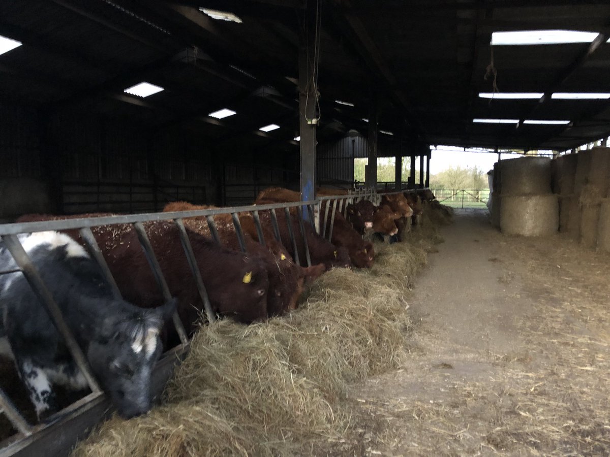 Defenderdriver7's tweet image. Day 7/7 My life in pictures. Rules: no words, no people. Nominate someone new each day. I was nominated by @Alanday10858010 
I nominate @wickens_anna