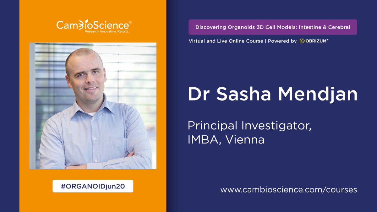 Now we move onto <a href="/MendjanLab/">MendjanLab</a> lecture on "Cardiac organoids reveal mechanisms of human cardiogenesis"

#ORGANOIDjun20 #cerebral #onlinelearning