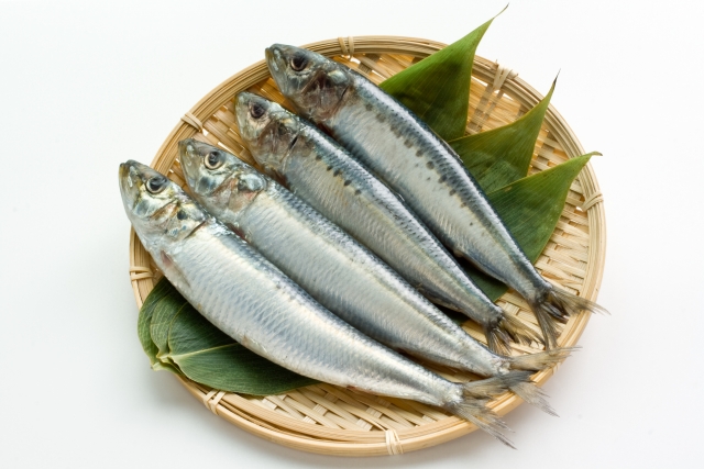 いばらき統計情報ネットワーク 日本一シリーズ 茨城県は マイワシ の漁獲量が日本一 6月から7月に脂がのりはじめた 入梅イワシ は 旬の味覚として親しまれています 平成30年 漁獲量 第1位 茨城県 139 214トン 第2位 千葉県 66 2トン 第3