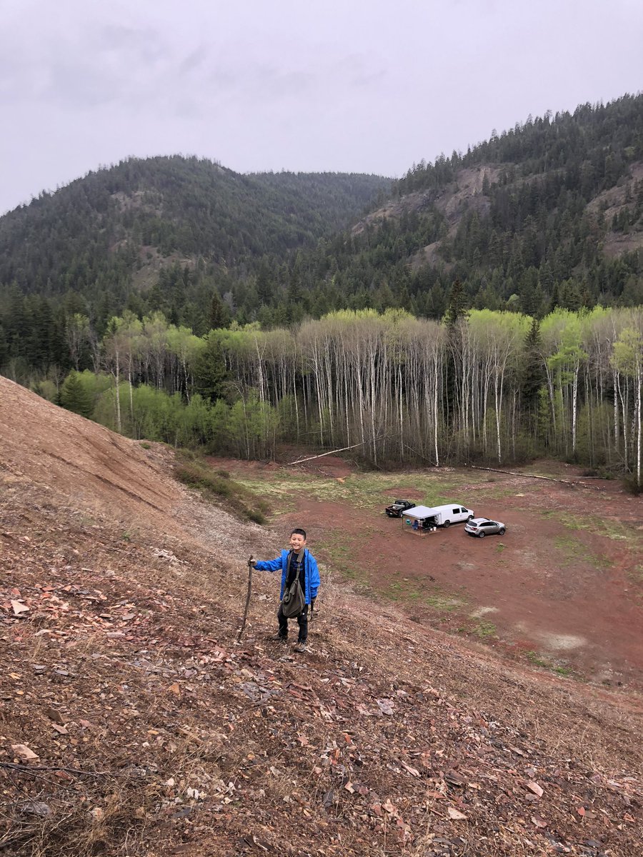 jfam1979's tweet image. Had a great time collecting Eocene fossils with friends near Princeton, BC, 🇨🇦
#FossilFriday #fossils #fossilcollecting #paleontology #palaeontology #cenozoic #eocene #bcfossils #fossilhunting