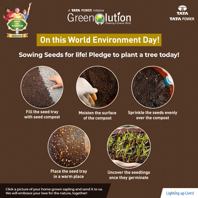 TataPower's tweet photo. This World Environment Day, sow seeds for life and plant a tree to bring in a #Greenolution! Share pictures of your plants with us to win exciting prizes.. #ThisIsTataPower
#WorldEnvironmentDay
#WED2020
#TimeForNature
#Youth4Environment
#UNFCCC
#NITIAayog
#ForNature
#moefc https://t.co/54lWhmM2sM