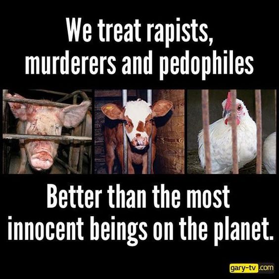 MesMitch's tweet photo. @davidsting414 There's no space in heaven for those souls who enjoy the pain of others. Especially those like animals who can't help themselves. https://t.co/MHJytsQKb1