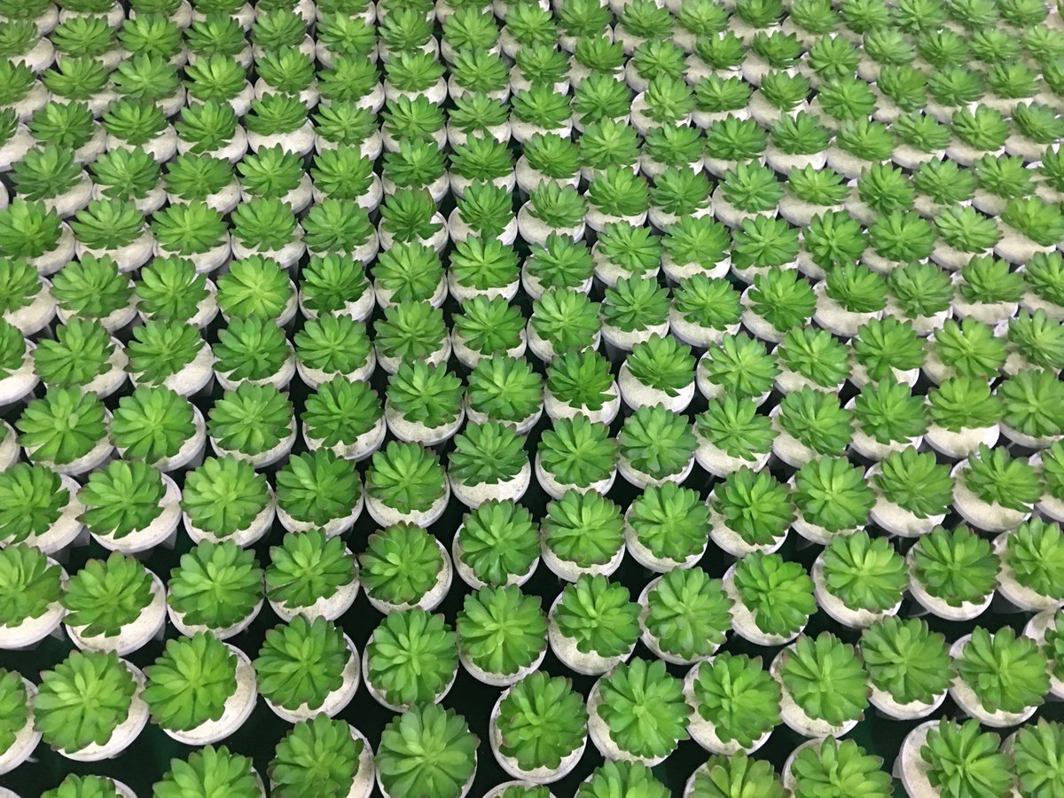 DisplayDm's tweet image. Spring will come finally.

Artificial plants are great choice for window decoration, which would never fade and can be kept for quite a long time especially for spring and summer season.

#ArtificialPlants #SpringWindowDisplay #SpringPlants