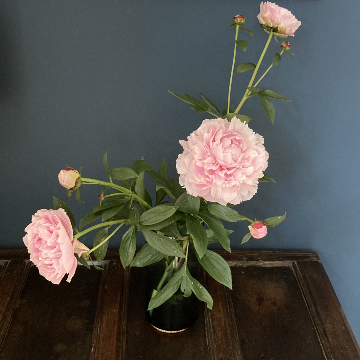 Peonies from the cutting beds.  Unnamed and - to put it mildly - uncossetted, and all the more welcome.