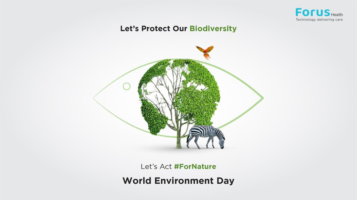 forus_health's tweet photo. On this #WorldEnvironmentDay, it's important to remember to protect our #biodiversity. The #essentialresources we consume daily all come from #nature, and biodiversity plays a crucial role in ensuring nature is preserved.
Act #ForNature; learn more here: https://t.co/ye2D24K6fN https://t.co/GV5y3c4q3t