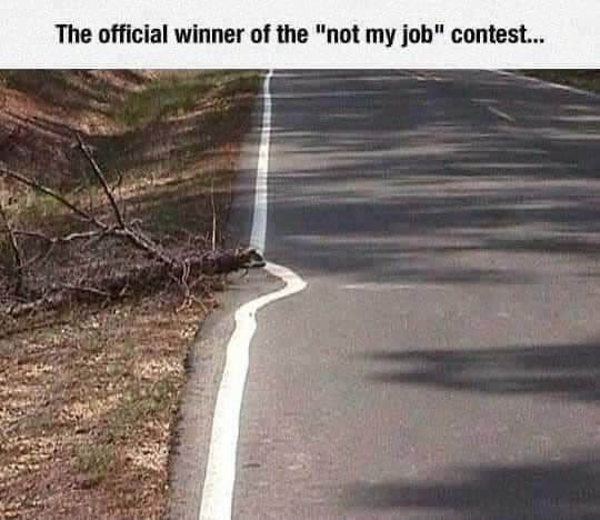 SquirrelonTO's tweet image. 😬🤭