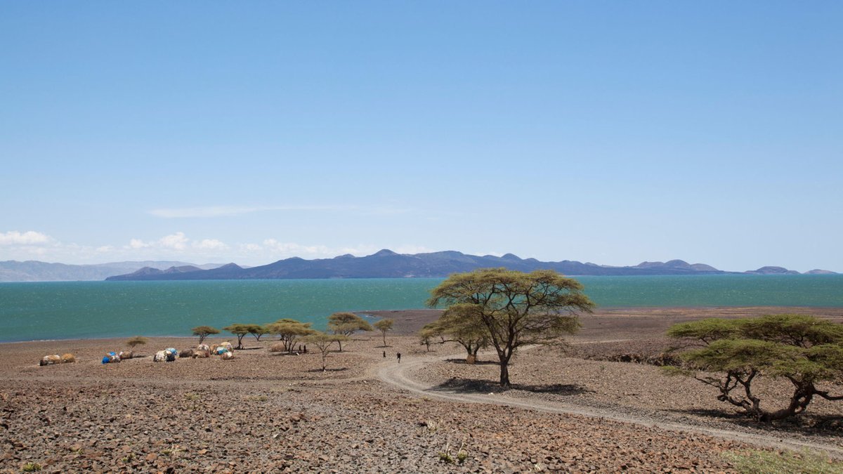 NemaKenya's tweet photo. World Environment Day National celebrations taking place TODAY at Ekaale Centre, Lodwar, Turkana County led by @Environment_Ke CS Keriako Tobiko. #ForNature #ProtectRestoreConserve #BiodiversityMatters #WorldEnvironmentDay Day @UNEP_Africa @StandardKenya @citizentvkenya @ntvkenya https://t.co/2rcWkGnRV9