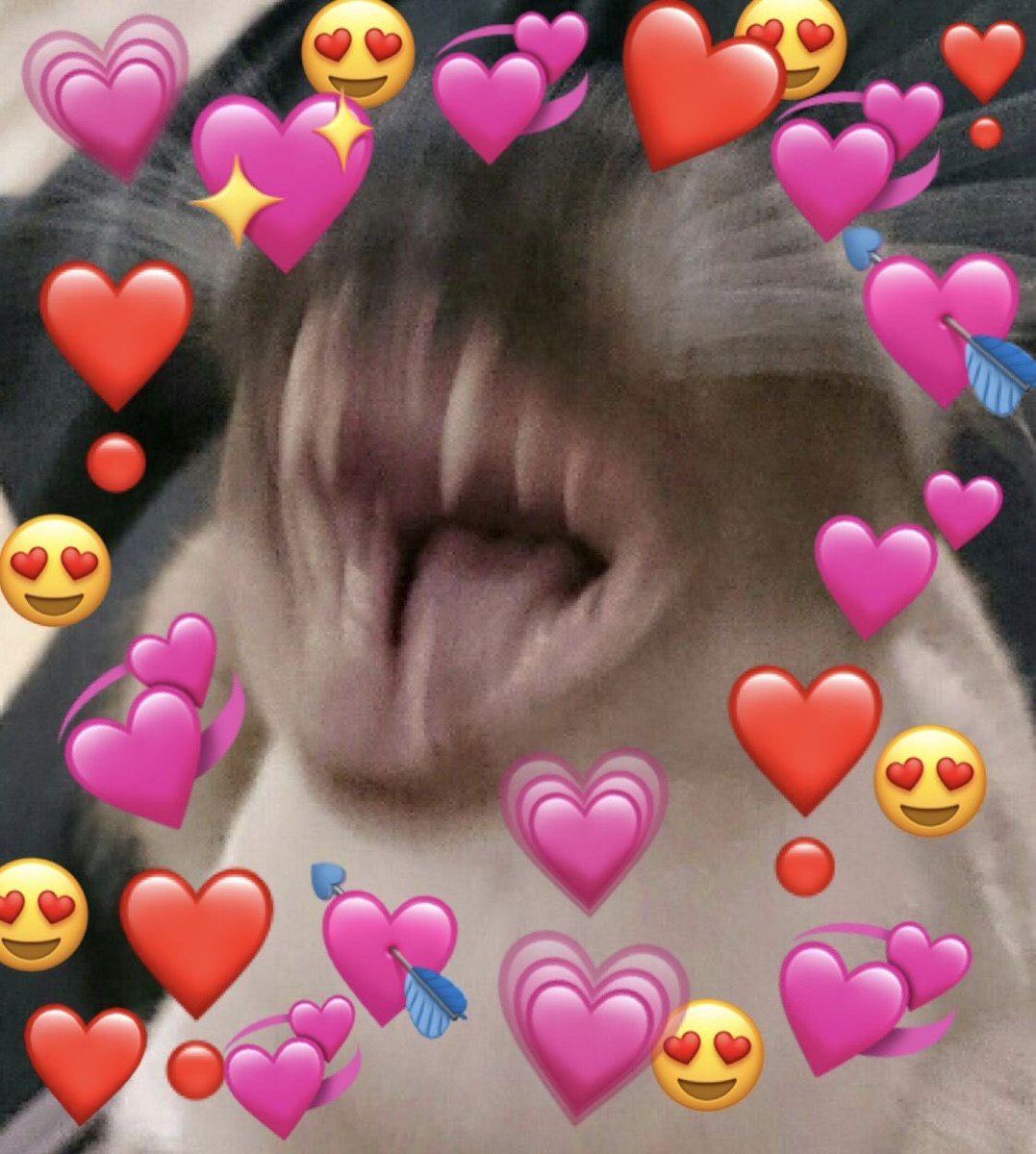 Saywem69420's tweet image. Tank, riot, athena, and alpha minding their anonymous business: 
Me and the rest of gen z: