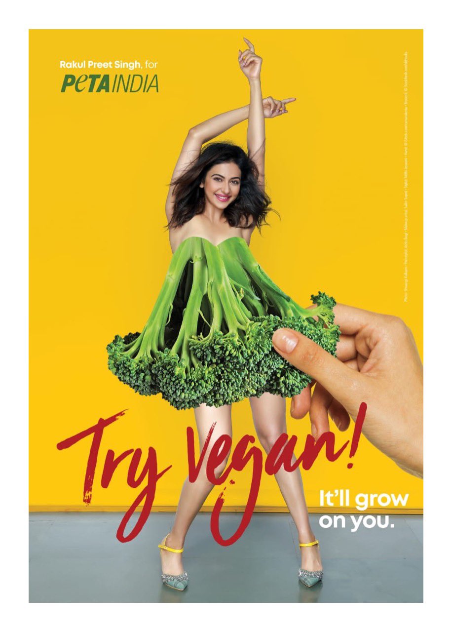 EZuMguCUEAAmPv4?format=jpg&name=large