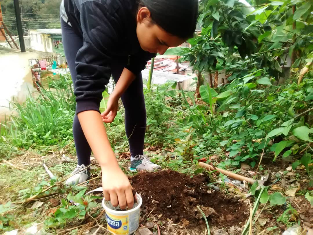 Vencedores de la #MisionRibas del ambiente de Timirisis, parroquia Monseñor Carrillo, municipio Trujillo del Estado Trujillo. Patio productivo desde el hogar, conservando el ambiente y previniendo el Covid-19.
<a href="/DhelizAlvarez/">Dheliz Álvarez</a> @psuvaristobulo <a href="/NicolasMaduro/">Nicolás Maduro</a>