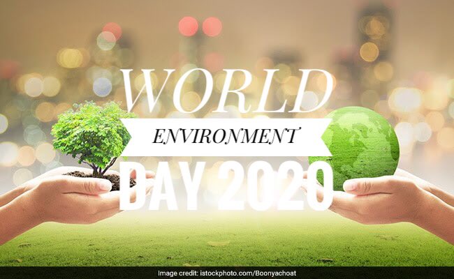 It’s World Environment Day - we need to celebrate the value of our natural environment, and the fact that all our solutions to a post-Covid society can be found in nature. ITS TIME FOR NATURE. #WorldEnvironmentDay