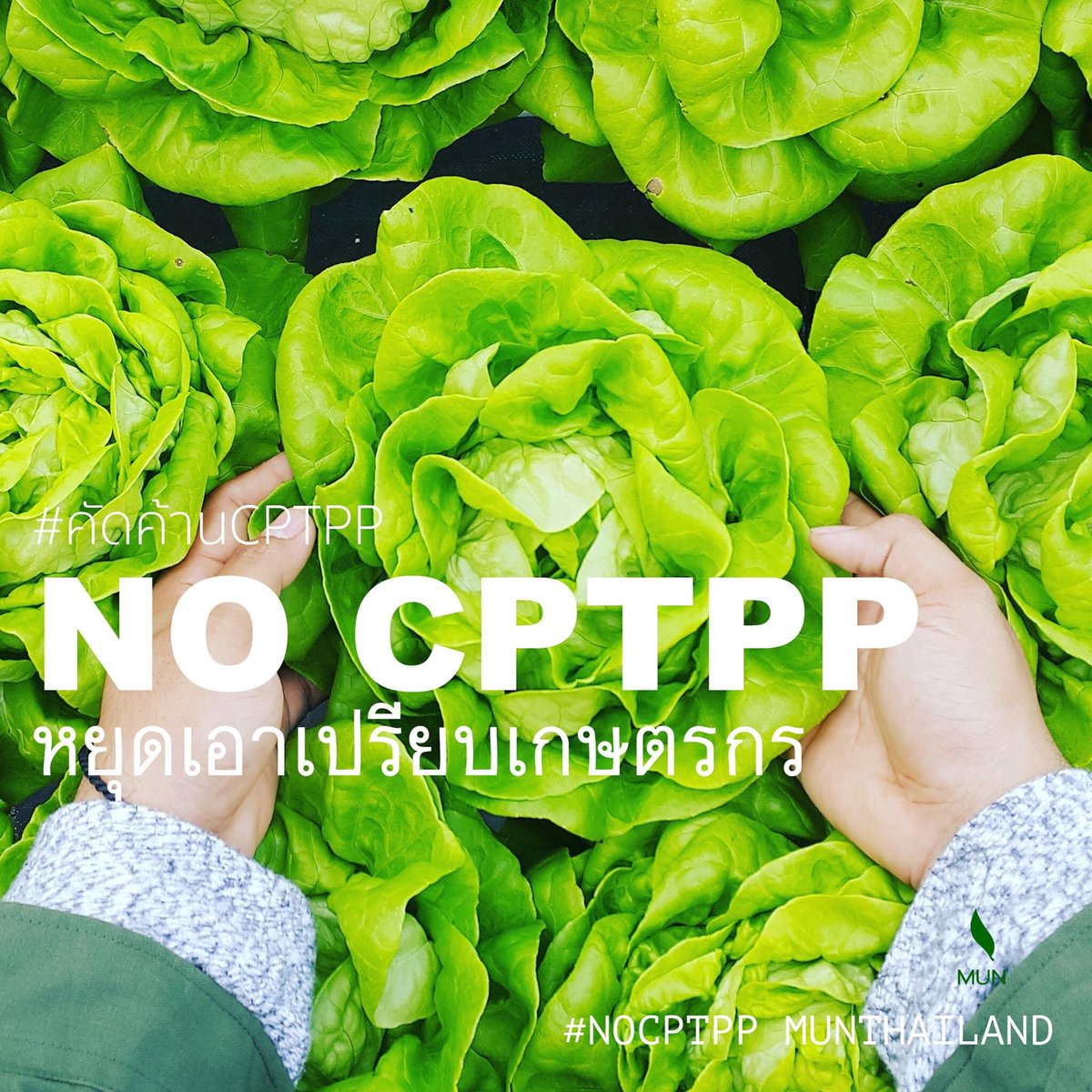 Intawaa cafe (official) tweet media