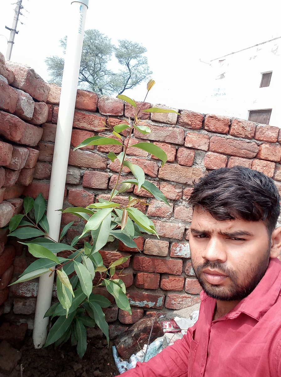 SCscjind's tweet image. 