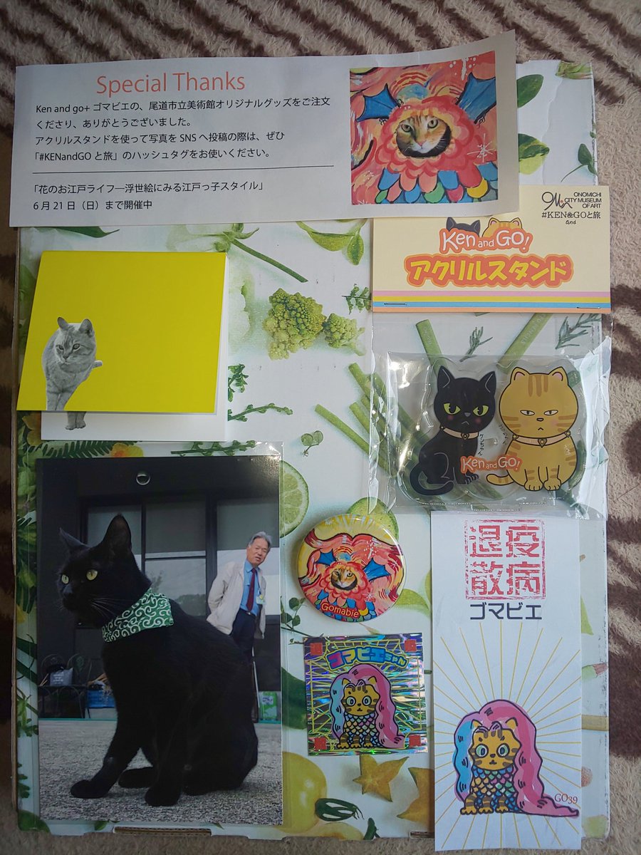 灰猫 尾道市立美術館のオリジナルグッズ届きました ゴッちゃんのゴマビエお札もいいですが ケンちゃん ゴッちゃんのアクリルスタンドと共に旅をするのが楽しみです