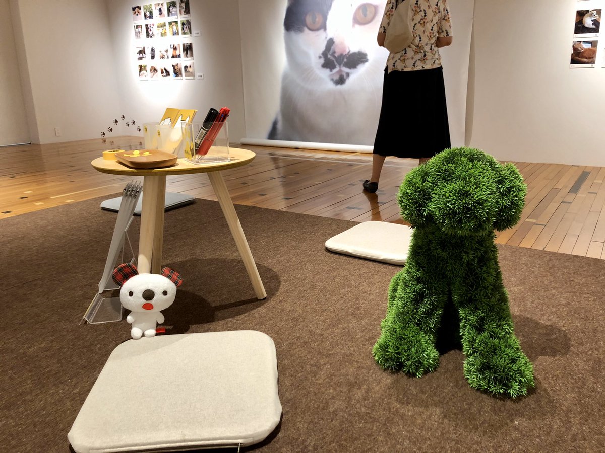 パルコアラ tweet media