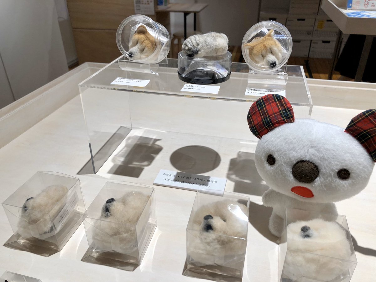 アラ！？
渋谷パルコの8F ほぼ日曜日で開催中の
「犬猫なかまの写真展 ＃ドコノコ４周年」に行ってきたのね🐶🐈
とっても癒される空間なのね！
shibuya.parco.jp/event/detail/?…
#渋谷パルコ　#ほぼ日