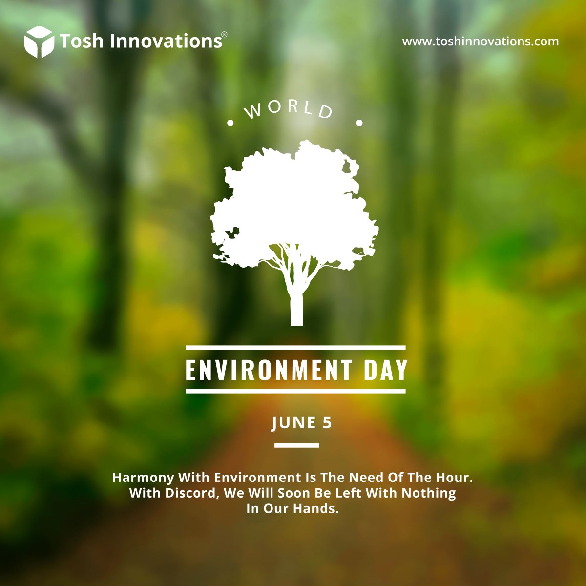 Tosh Innovations tweet media