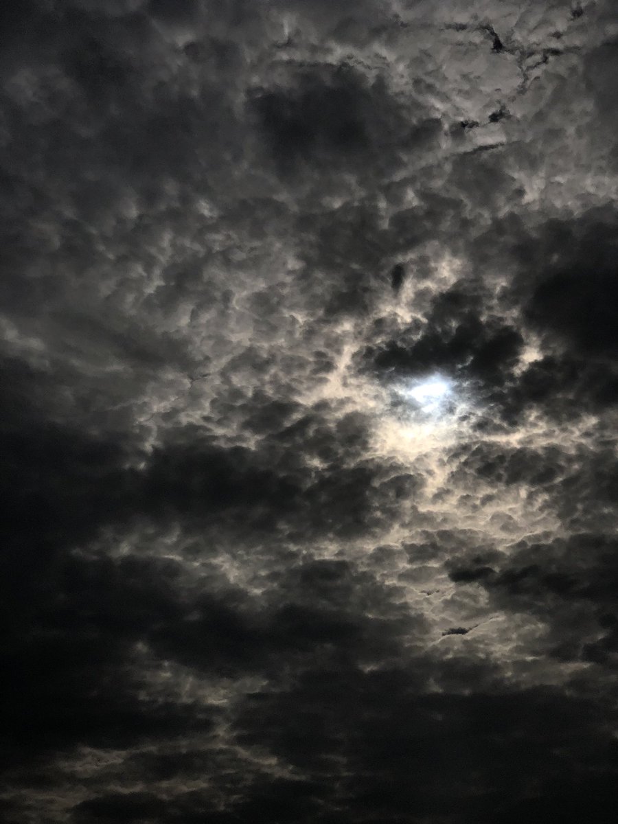 #جازان_الان