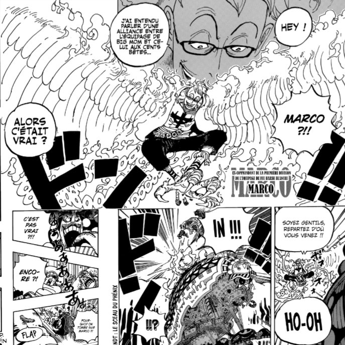 ℂ𝕒𝕡𝕥𝕒𝕚𝕟 𝕂𝕪𝕝𝕠 on Twitter: &quot;SPOIL CHAPITRE 981 ONE PIECE - - - - -  - - - - - Putin incroyable MARCO!!! Par contre on en parle des pirates de  BM qui se font h24 bolosser?? #onepiece981 https://t.co/R5TljuaRHn&quot; /  Twitter